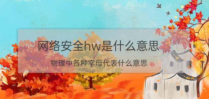 网络安全hw是什么意思 物理中各种字母代表什么意思？